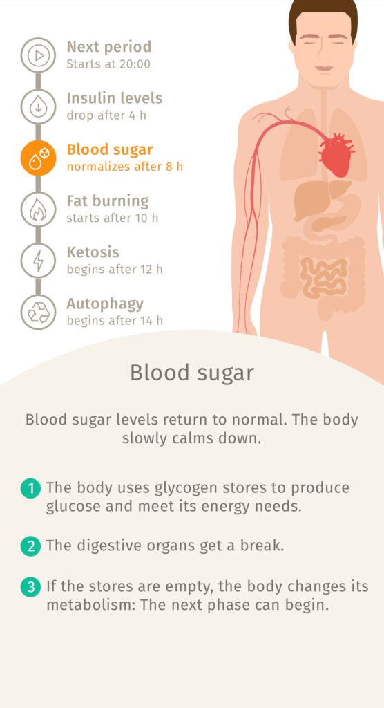 picture showing what happend to human body during fasting 