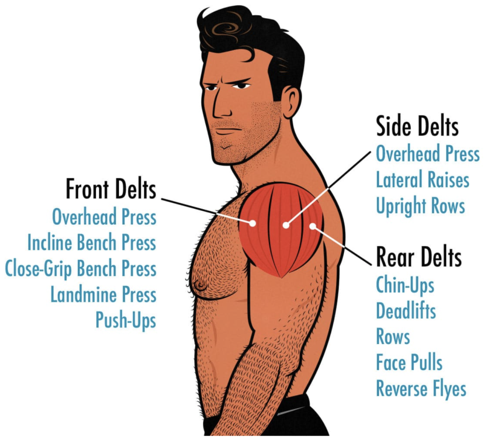 shoulders workout