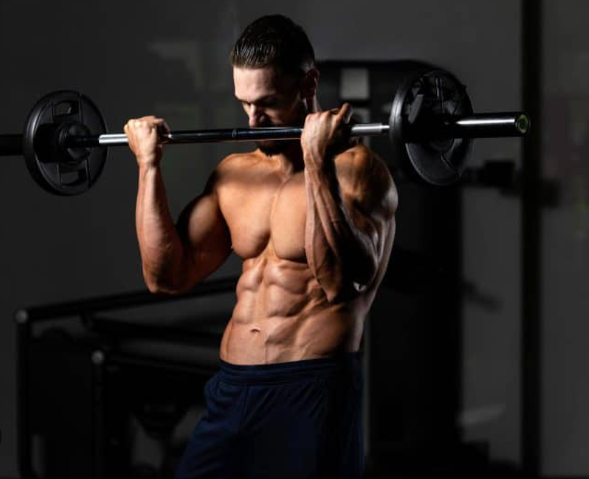 barbell biceps curl 