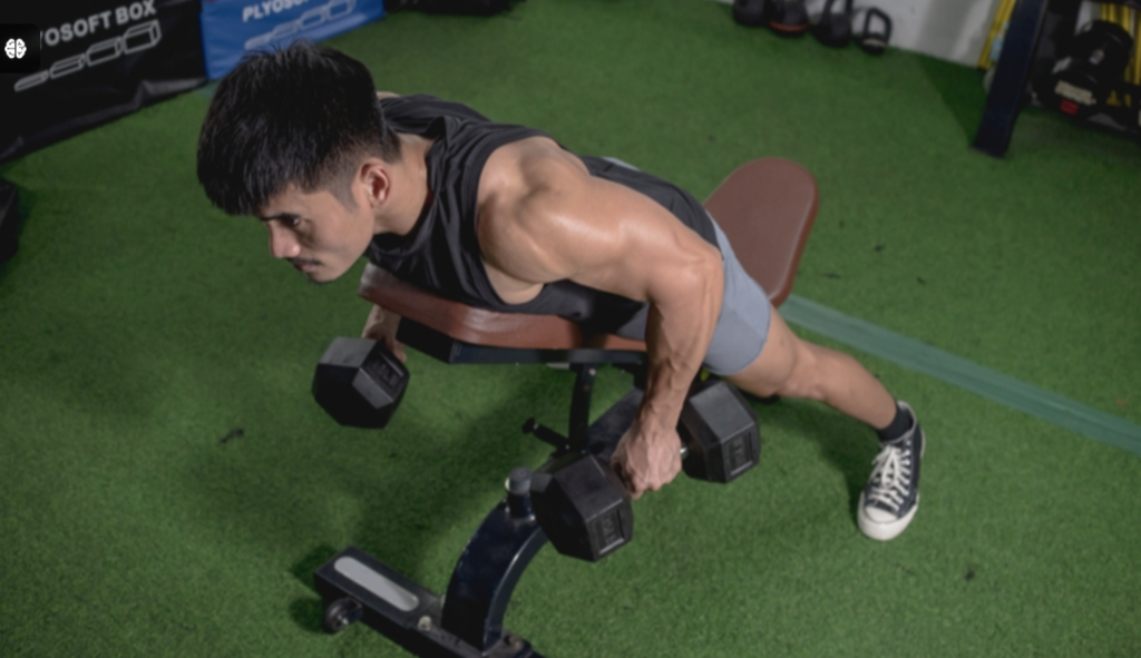 Dumbbell Bent Over Rows