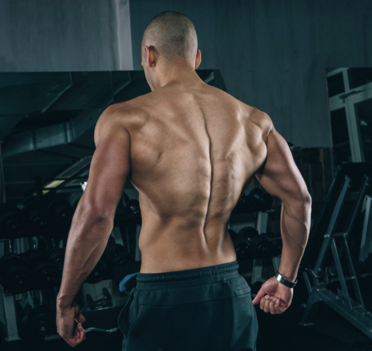 The Best Back Workouts for More Muscle and Strength